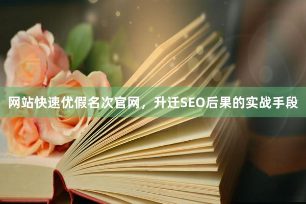 网站快速优假名次官网，升迁SEO后果的实战手段